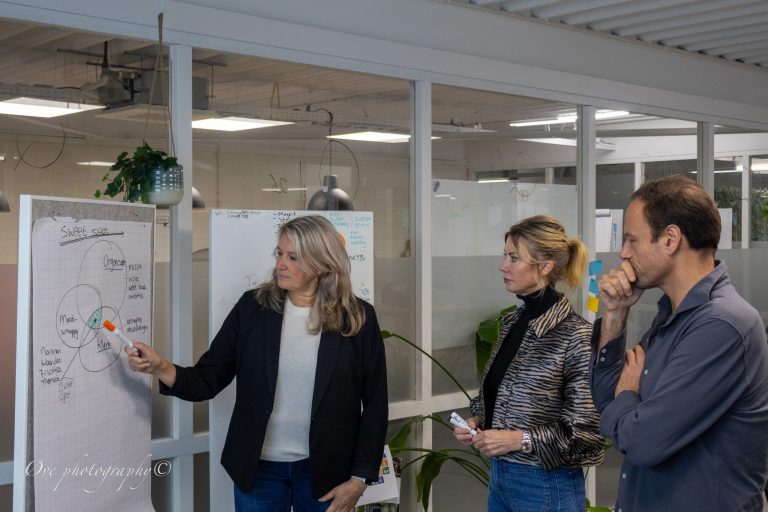 Het Impactcanvas